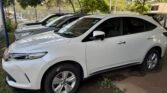 2019 harrier