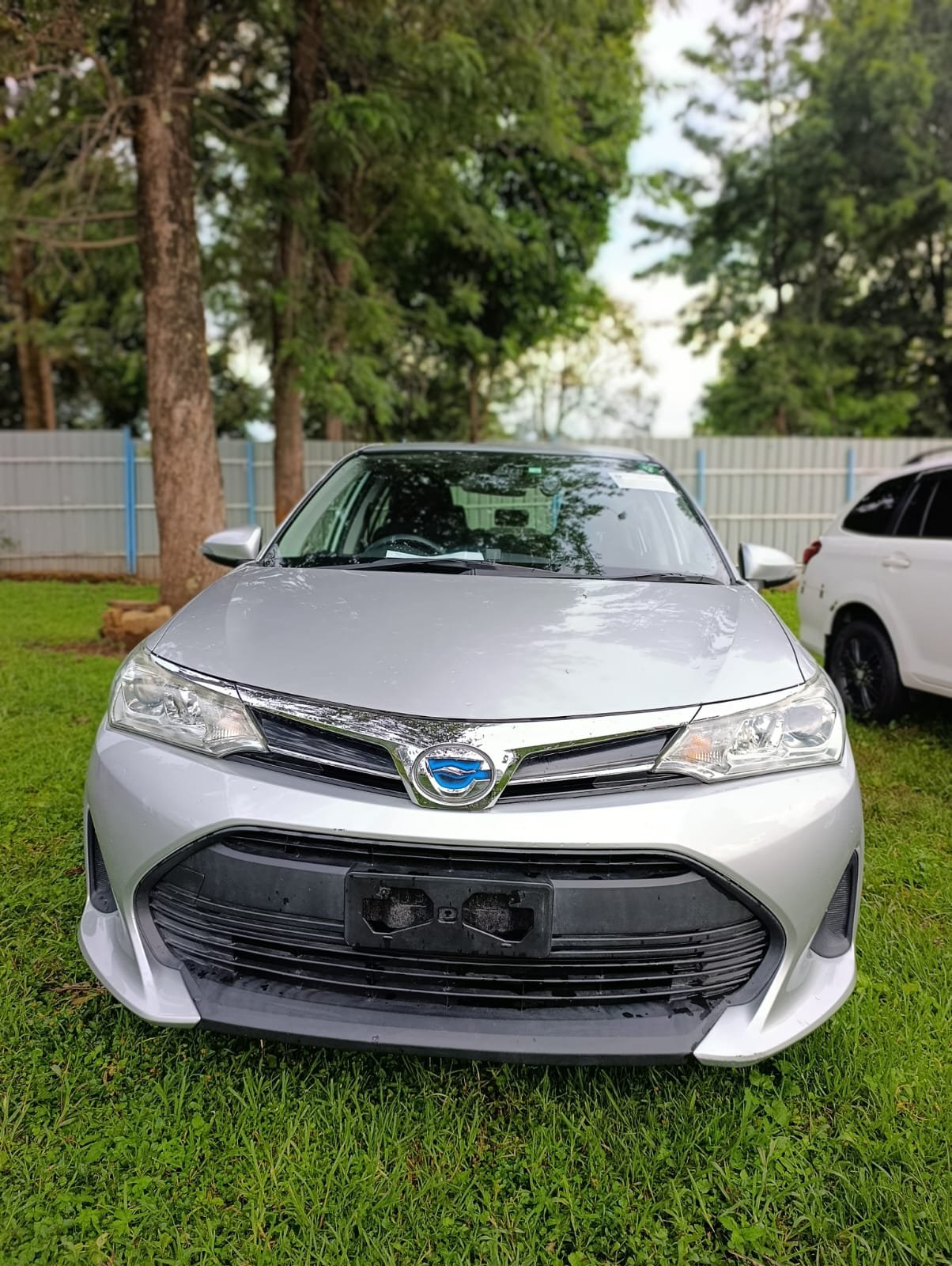 Toyota Axio 2018 #7657 Kericho - RANA Auto Selection