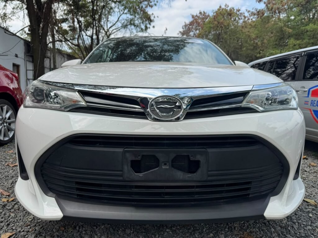 2019 Toyota Corolla Fielder